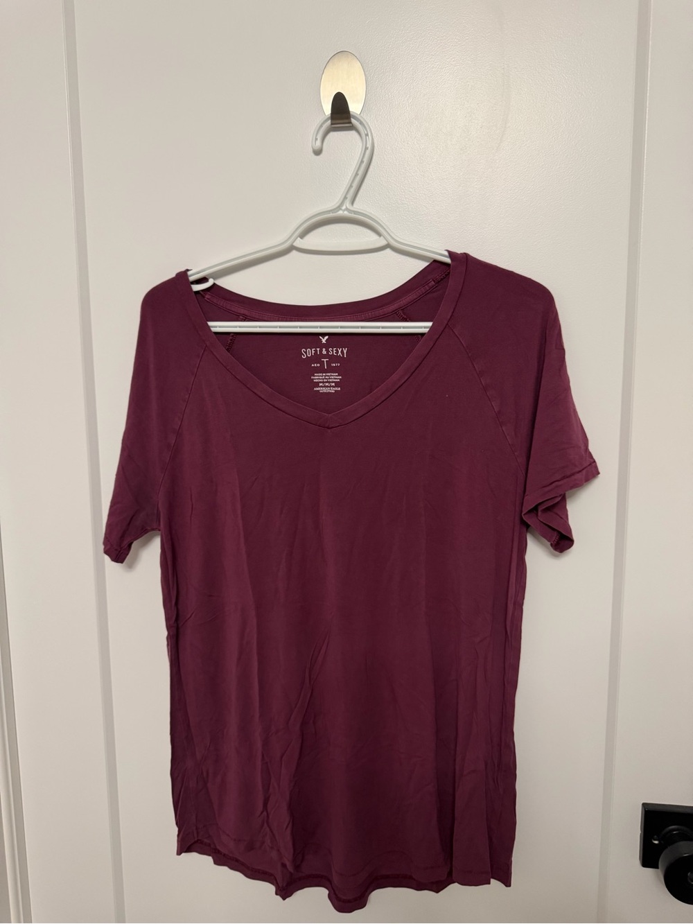 American Eagle Outfitters Short Sleeve V-Neck Tee — Plum